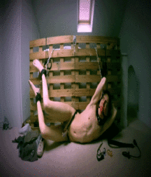 Cock Balls and Ass 43 58730c198adea.gif