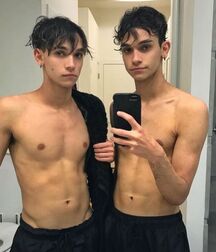 Being twins twinks gay porn