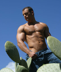 Maschi muscolosi e sexy 3 twink porn gay 5efcdb2c987c4.jpg