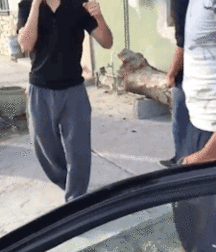 Ben‘s Tuesday BM Gay Tube 60913b7d6746e.gif