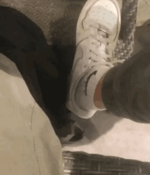 Ben Friday Wall Favorites Twink Tube Rules 618591ed82de7.gif