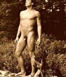 happy and Naked Gay Tube Express 5fa14a2a0dca4.jpg