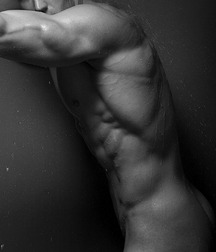 Maschi Gay Tube 24  5fab00c4c5a94.jpg