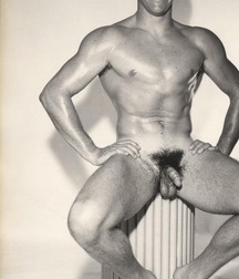 Gay Porn Beauties From Days Gone By 60fd3c0b7a317.jpg
