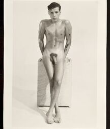 Gay Porn Beauties From Days Gone By 60fd3c1b526f3.jpg