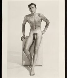 Gay Porn Beauties From Days Gone By 60fd3c1cdf8ff.jpg