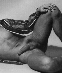 More Boners From Days Gone By Gay Porn 613c7f19e2a03.jpg