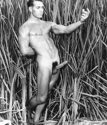 More Boners From Days Gone By Gay Porn 613c7f3ec1a61.jpg