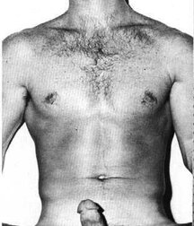 More Boners From Days Gone By Gay Porn 613c7f8678e01.jpg