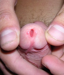 Cute Twink Porn Hunter-3 Gay 5f803dc04d4af.jpg