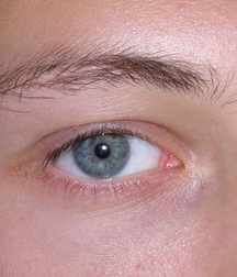 Cute Twink Porn Hunter-2 Gay 5f857ede7e720.jpg