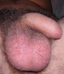 Cute Twink Porn Hunter-2 Gay 5f857f0c3af53.jpg
