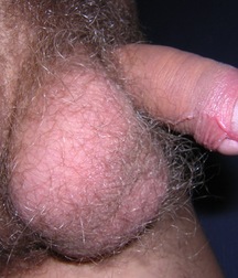 Cute Twink Porn Hunter-2 Gay 5f857f3b32303.jpg