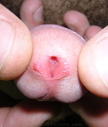 Cute Twink Porn Hunter-2 Gay 5f857fe76a2d6.jpg