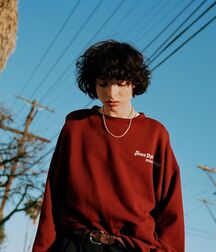 Boy Idols: Finn Wolfhard (Actor) 5f1caf31a1664.jpg
