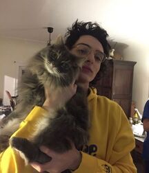 Boy Idols: Finn Wolfhard Part 2 (Actor) 5f1f2b054c1f7.jpg