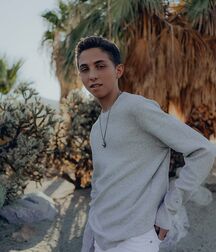 Ryan Gay Tube 6075d2f758a33.jpg