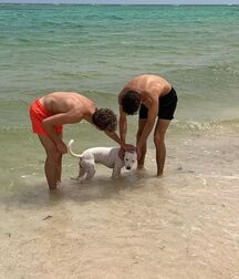 The Daily Suspects... 60ff492c0a7c7.jpg