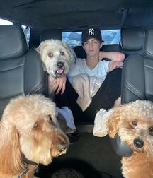 The Dailys... 612b91d8960fc.jpg