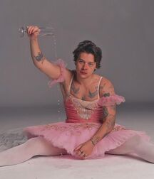 Happy Bday Harry!!  61f9a0c031a33.jpg