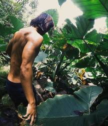 Paradise Boys - Chris 57d9a55c70039.jpg