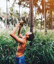 Paradise Boys - Ben Again 58a8e0a4ba769.jpg