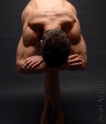 Werner - NovelArt Gay Tube 5fe7ca3360faf.jpg