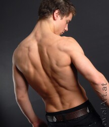 Werner - NovelArt Gay Tube 5fe7cbfca504b.jpg