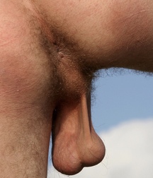 Hot And Sexy Rickie Boys Porn 5fb56bbd87e77.jpeg