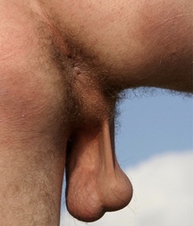 Hot And Sexy Rickie Boys Porn 5fb56bc71d5aa.jpeg