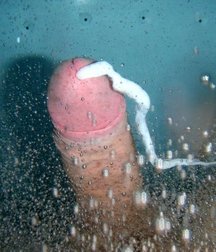 cum boys 5adce51224f59.jpg