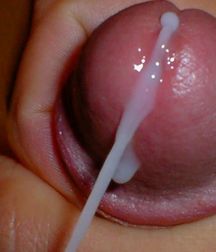 cum boys 5adce51708426.jpg