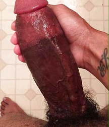 only dicks 5de0236477d17.jpg