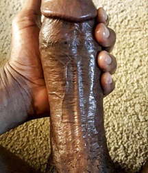 only dicks 5de02365e6fb8.jpg