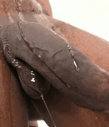 Big and nice cocks boys porn 5f47e9fad54d5.gif