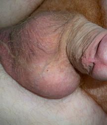 Flaccid dicks 576b33f09e1b8.jpg