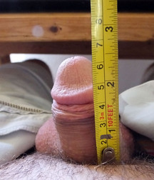 Flaccid dicks 576b348e8be51.jpg