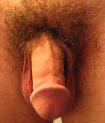 Flaccid dicks 576b350ad37f5.jpg