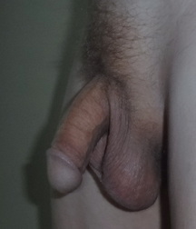 Flaccid dicks 576b35d6bdc11.jpg