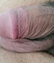 Flaccid dicks 576b36186acca.jpg