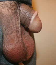 Flaccid dicks 576b362dec8cf.jpg