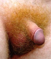 Flaccid dicks 576b364e28129.jpg