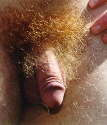 Flaccid dicks 576b364fd018c.jpg