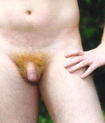 Flaccid dicks 576b36515831d.jpg