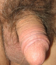 Flaccid dicks 576b366fe153a.jpg