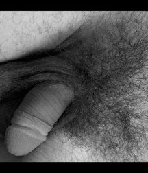 Flaccid dicks 576b369100552.jpg