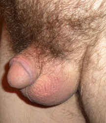 Flaccid dicks 576b36e223926.jpg