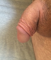 Flaccid dicks 576b371ba456e.jpg
