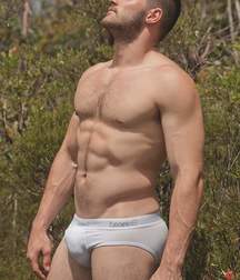 White Briefs 58335cf420d13.jpg