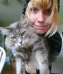 Willy Cat 589f50396ee5e.jpg